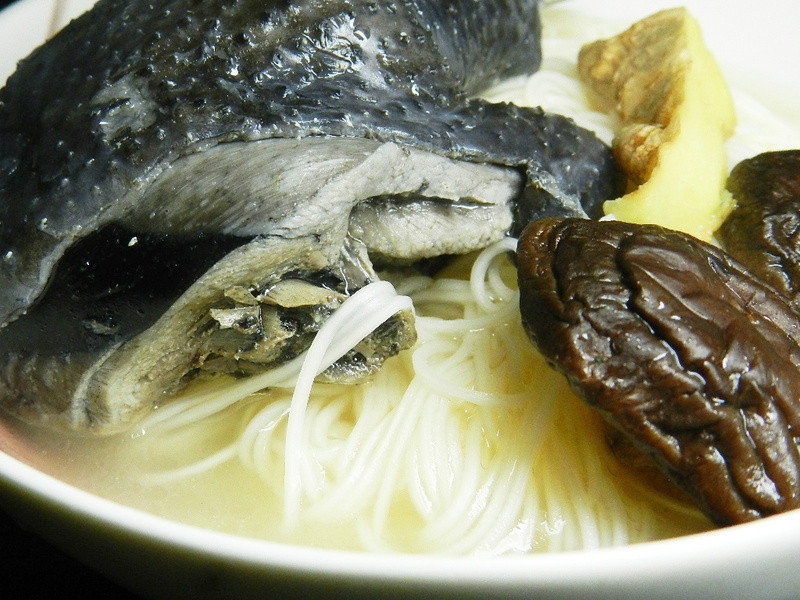 �ڹǼ����ߵ�����