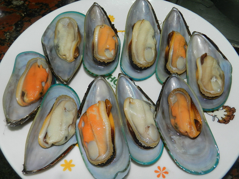 ��ʽ���˵�����