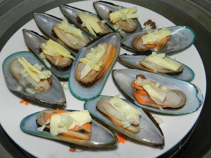 ��ʽ���˵�����