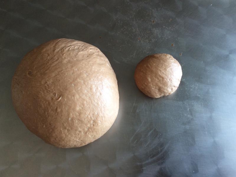 С�����������