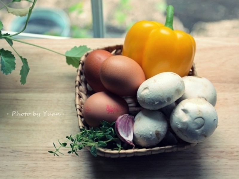 Ģ����ŷķ��������