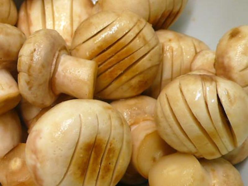 ������Ģ�� ? Ģ��С�ƹ�4 ?������