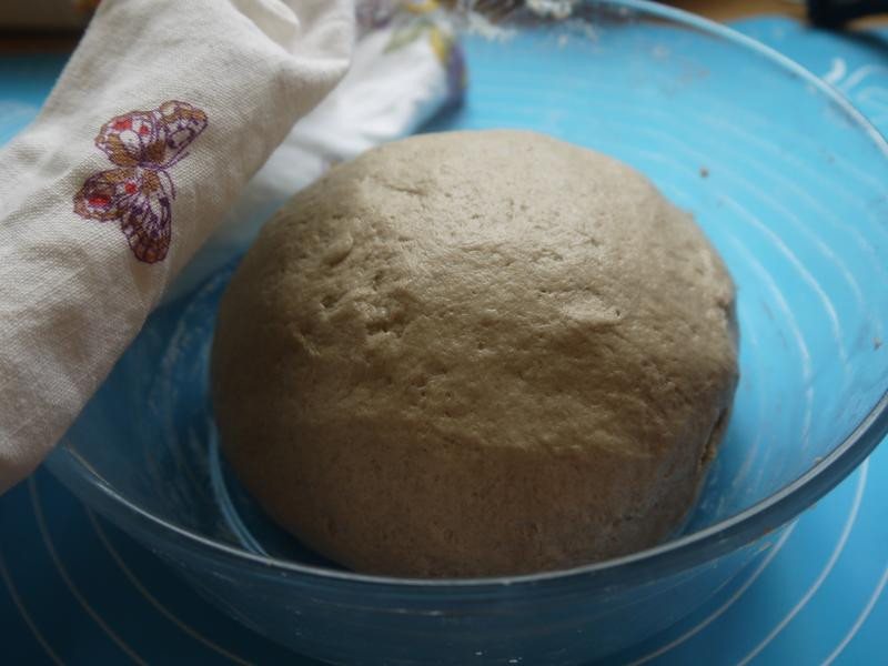 �¹��Ÿ�������������