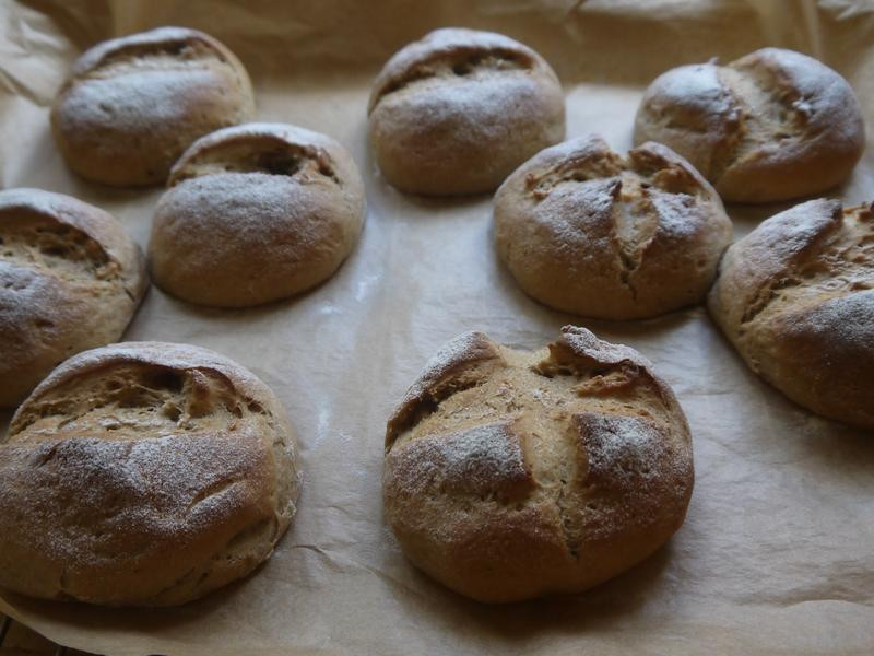 �¹��Ÿ�������������