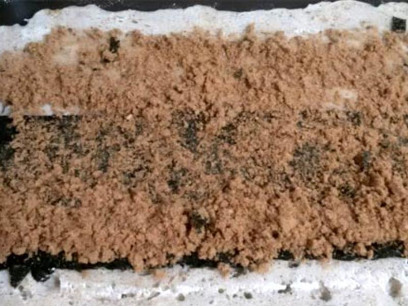 ��̦���������~�������ࡣˮ�� ���·��͵�����