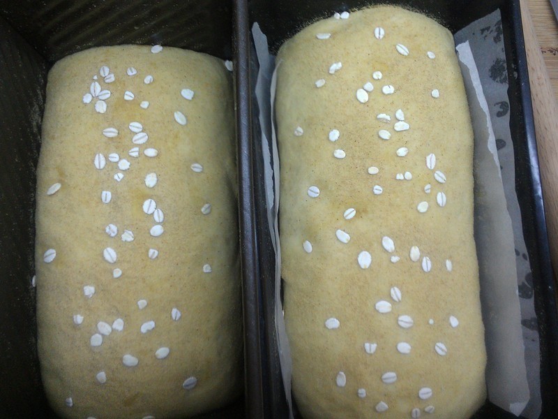 ?i fun������?��ѿ������ҹ�����˾������