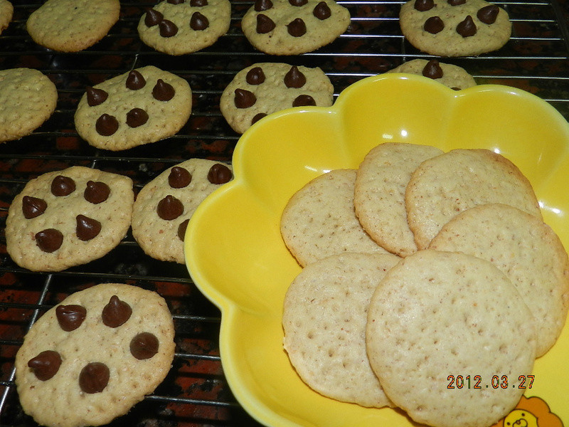 �������ɵ�����