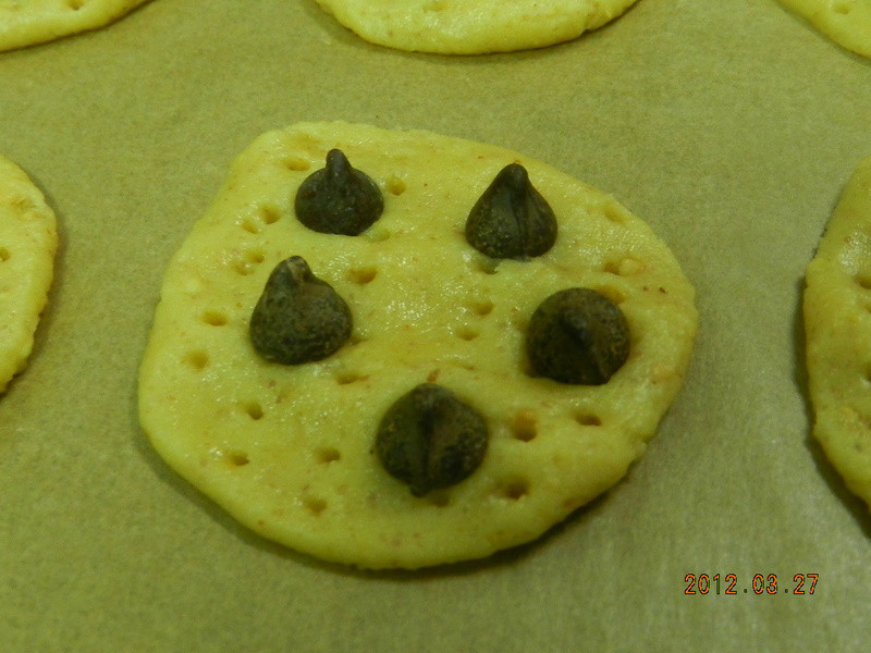 �������ɵ�����