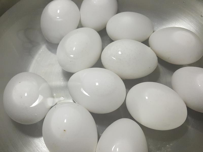 �̠`���ĵ�������