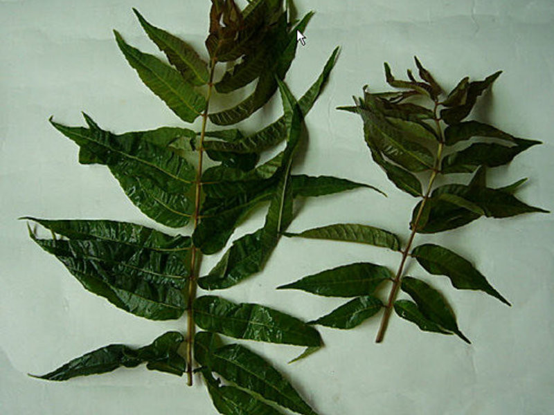 ��������ζ~�㴻��~ (ȫ��)������