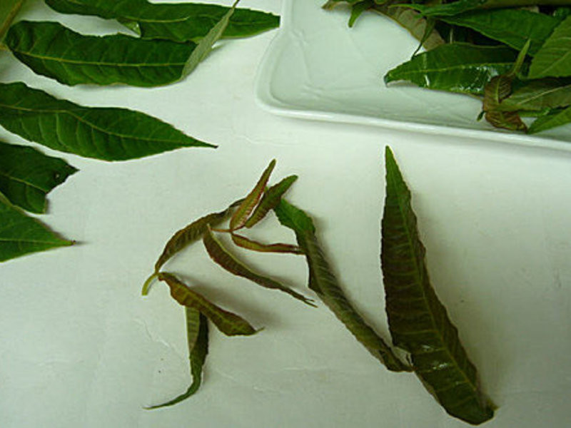 ��������ζ~�㴻��~ (ȫ��)������