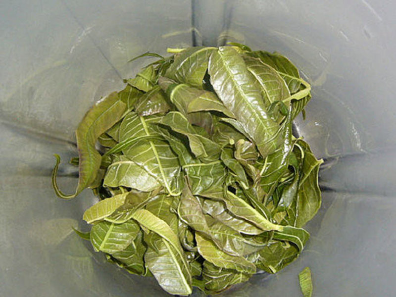 ��������ζ~�㴻��~ (ȫ��)������