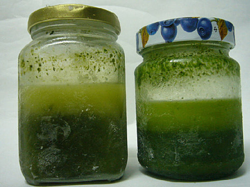 ��������ζ~�㴻��~ (ȫ��)������