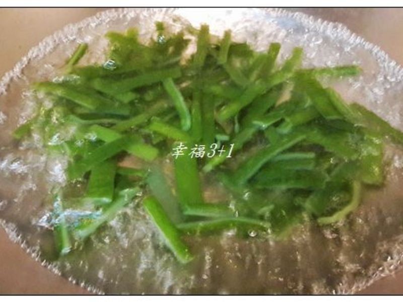 ���躣��������ʳ��������