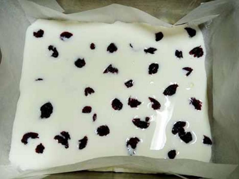 ݮ�����ұ�ש������