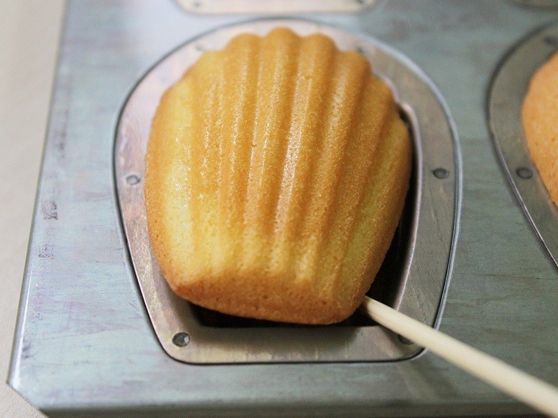 ������������͵��������