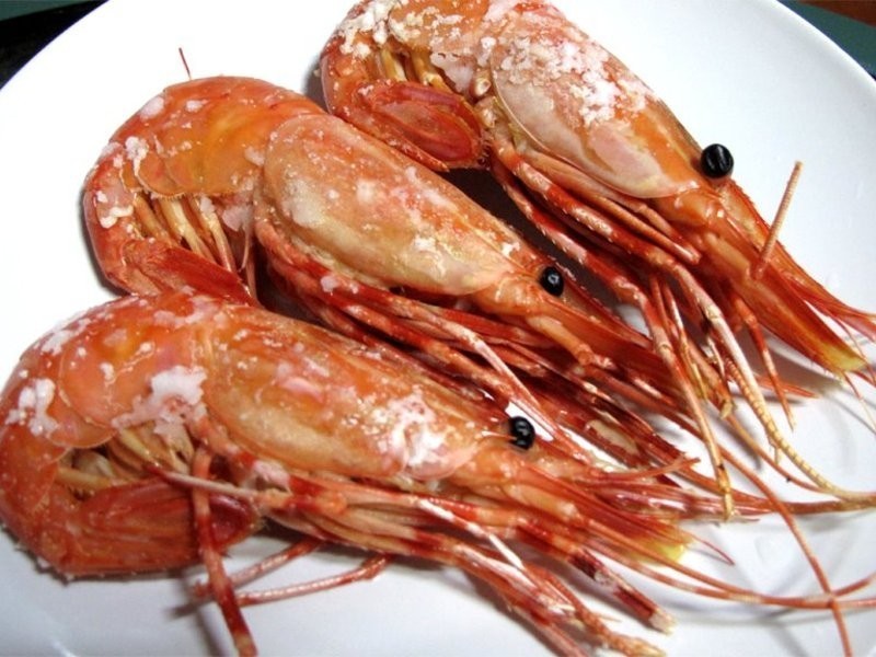 �ο�ĵ��Ϻ������