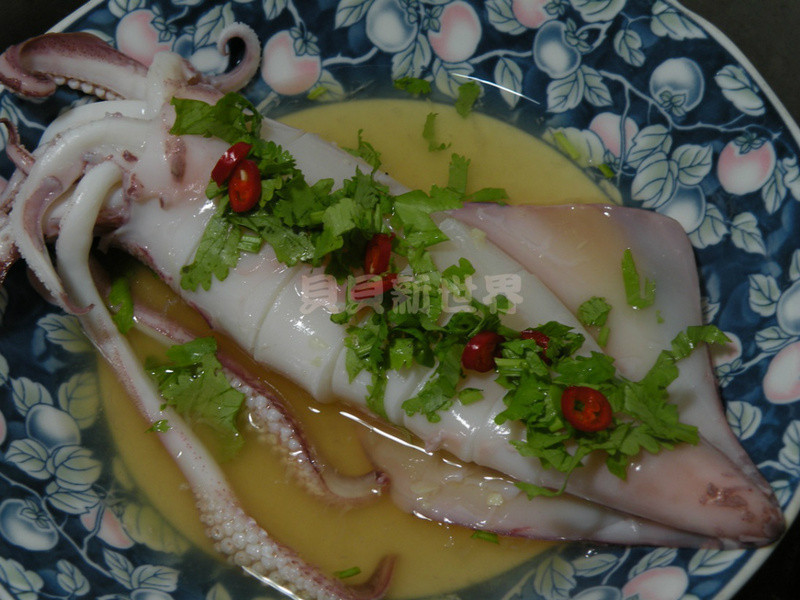 ����͸�������