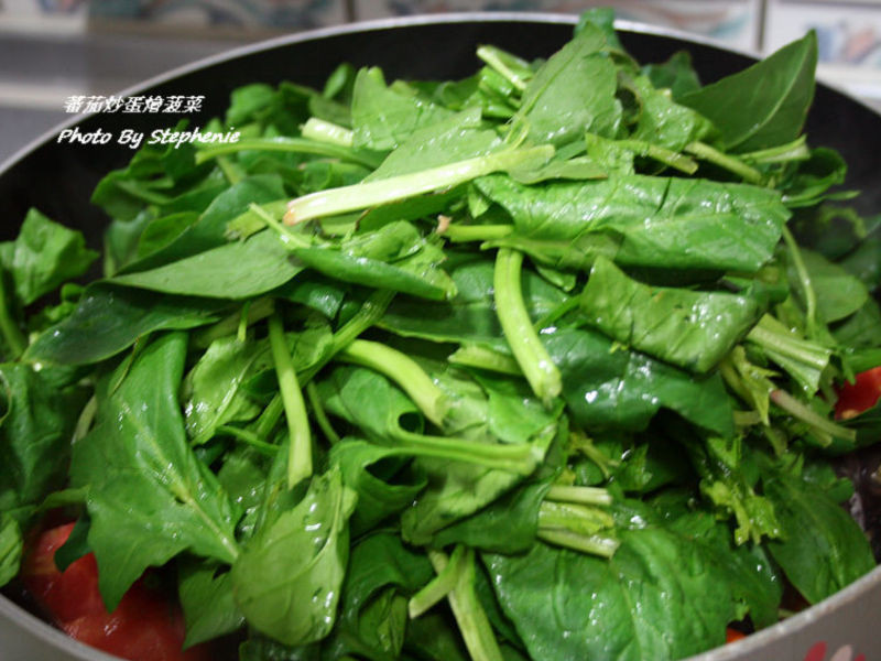 ެ�ѳ����Ⲥ�˵�����