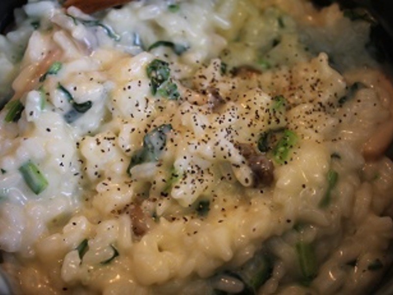 ����Ұ����������������