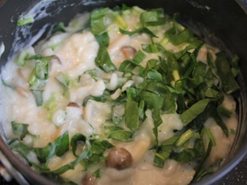 ����Ұ����������������