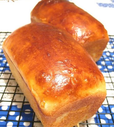 �����������������