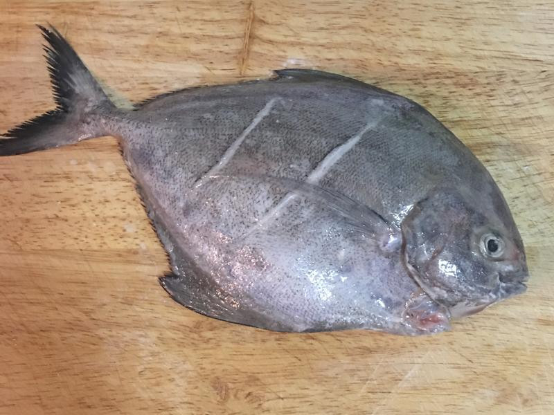 �Ǵ����������