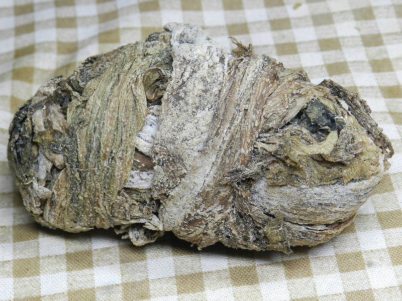 ������Ǿ�ׯ�ؼ����125���꡹~÷�ɿ�ϵ�����