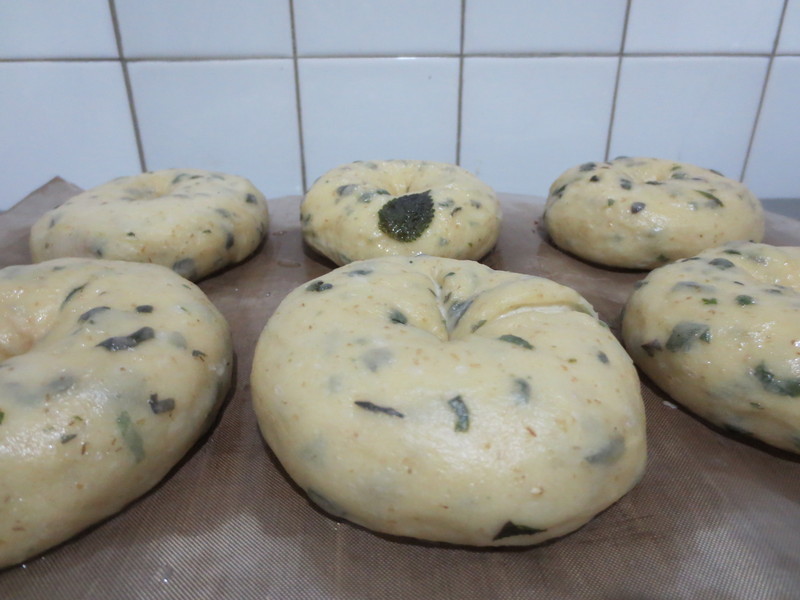 ��Ȼ��ĸ �����ձ�����[�決չʳ��ļ��]������