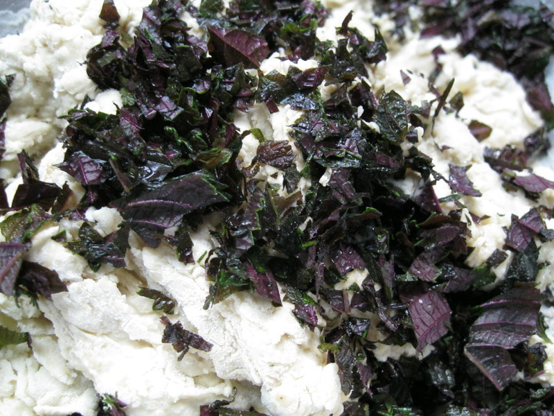 ��Ȼ��ĸ �����ձ�����[�決չʳ��ļ��]������