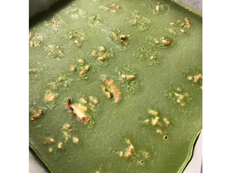 Ĩ��Ҭ���ɿ���������