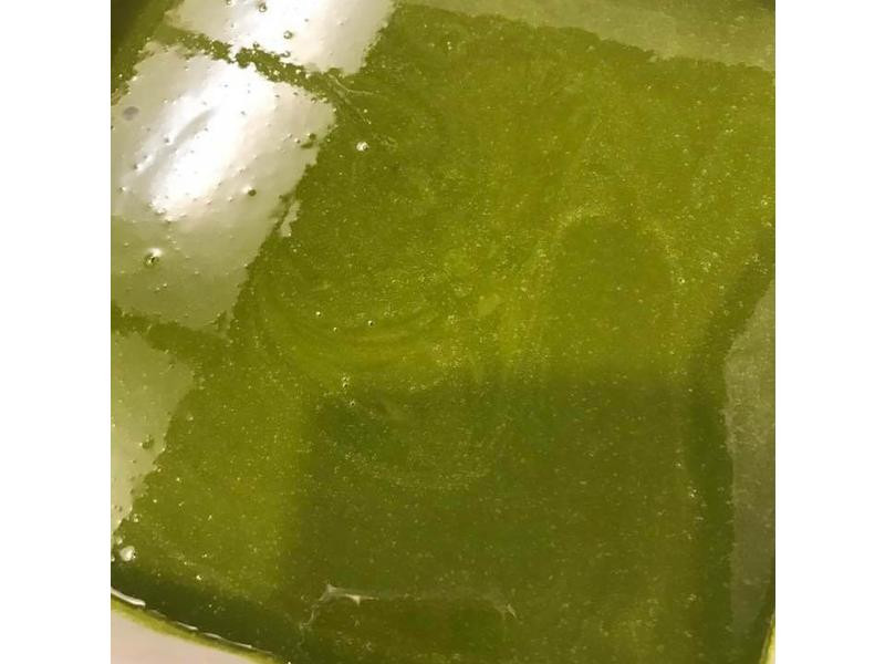 Ĩ��Ҭ���ɿ���������