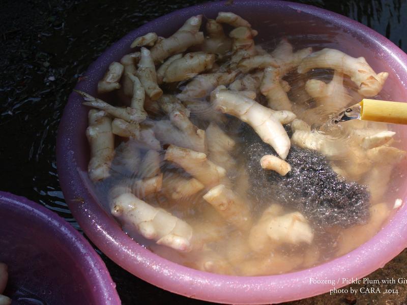 �ͼ��Z÷���۽�������