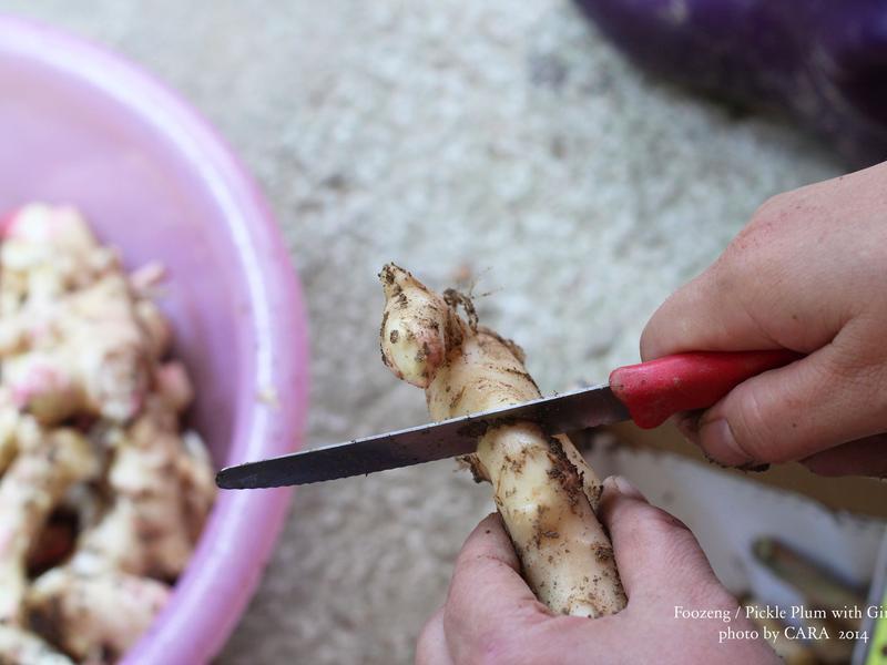 �ͼ��Z÷���۽�������