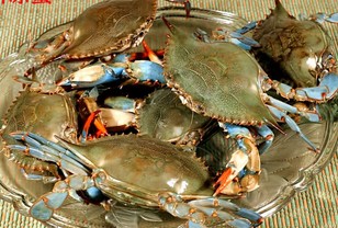 ���ݶ�з������