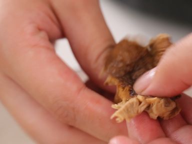 ���Ⱦ�������������