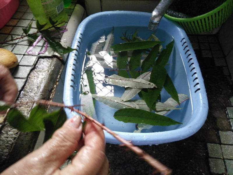 �̴��̶���������