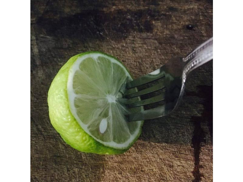 ��֬���ۿ����ص�����