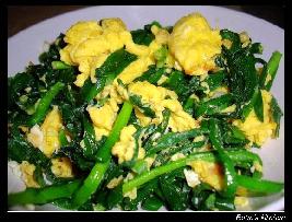 �²˳�����������