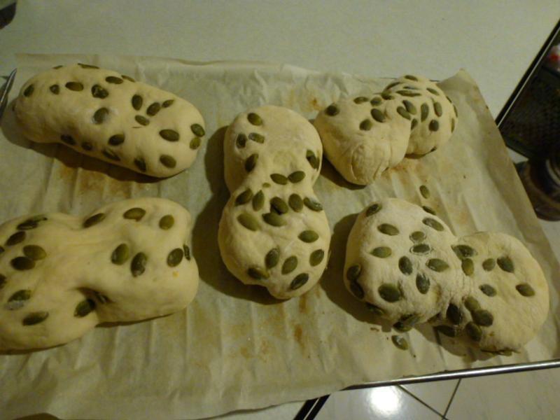 �عϼ�����������