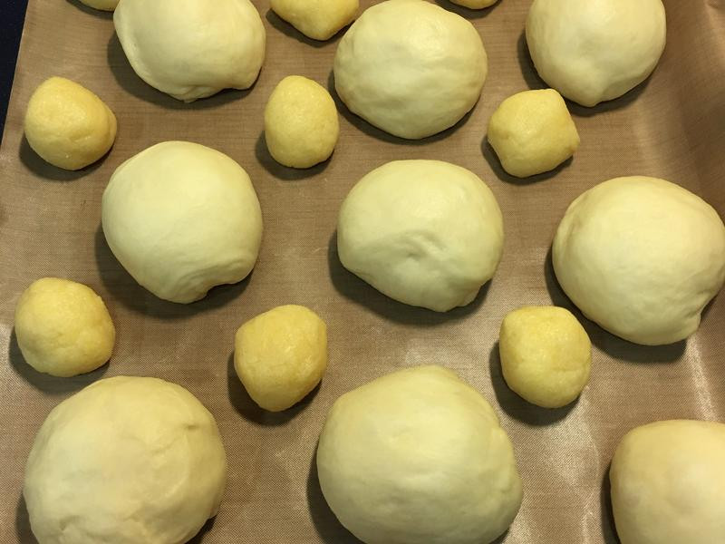 ���ɲ������������