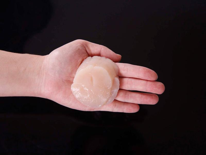 �����ɱ�������