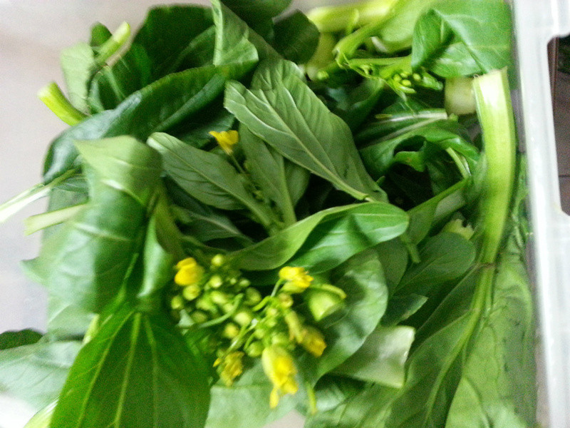 ˮ����˵�����