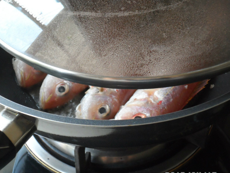 ����Ҳ���������������