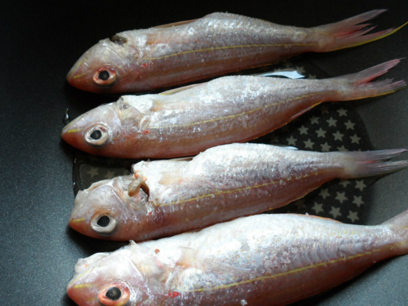 ����Ҳ���������������