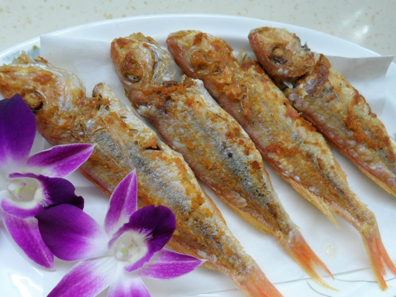 ����Ҳ���������������