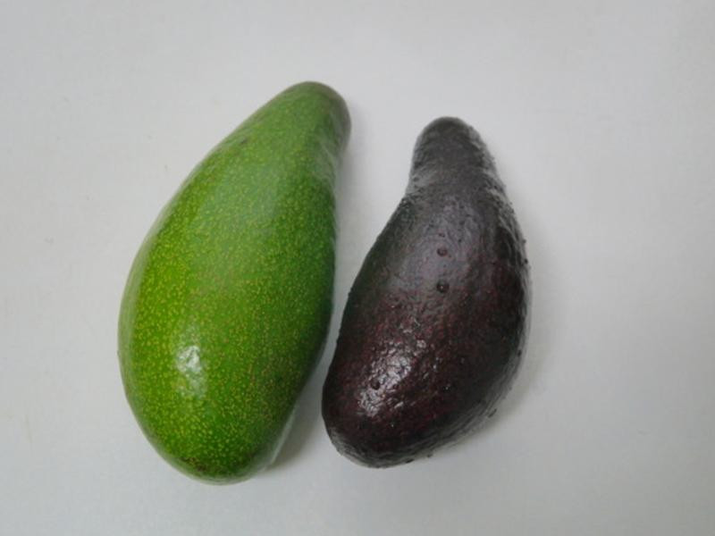 ī�������潴������