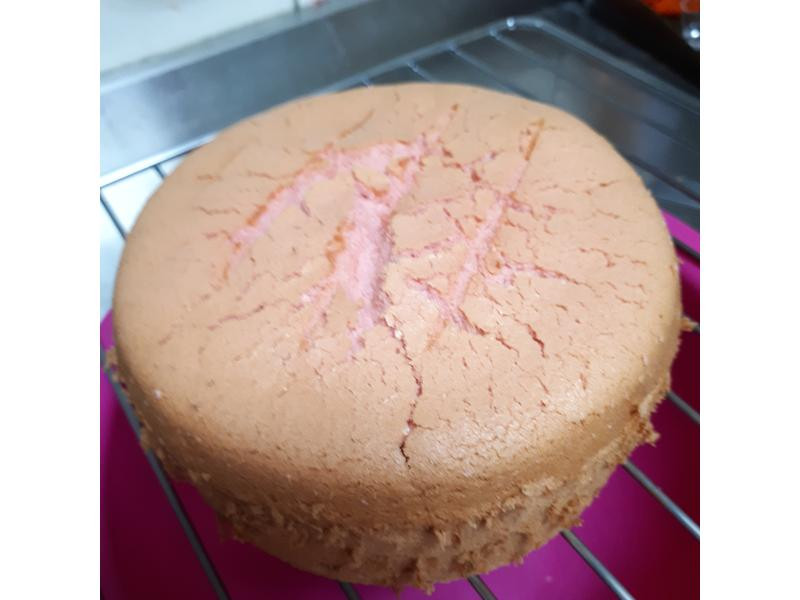 ��ݮݮ���ݷ絰�������