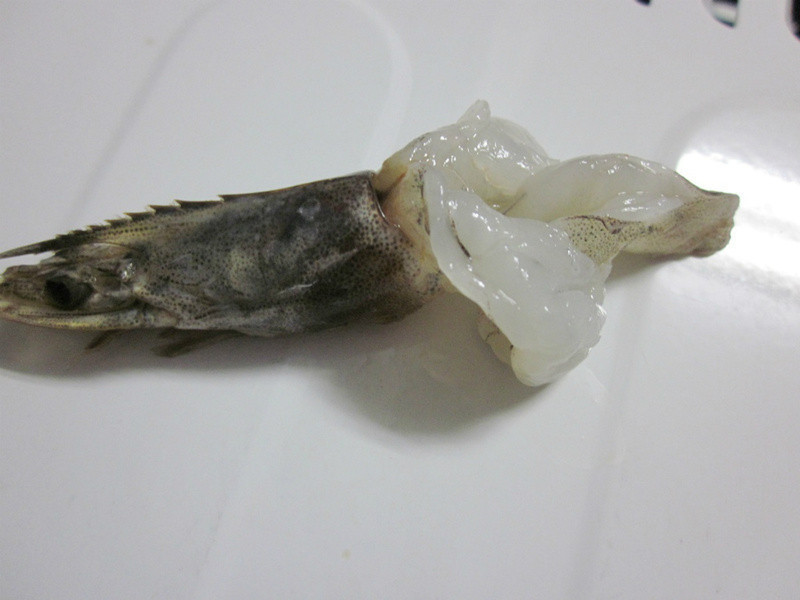 ������Ϻ�h����������