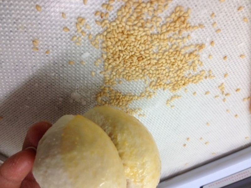 ֥�鶹�����������